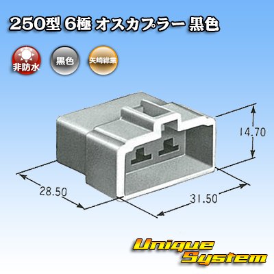 画像3: 矢崎総業 250型 CN(A) 非防水 6極 オスカプラー 黒色