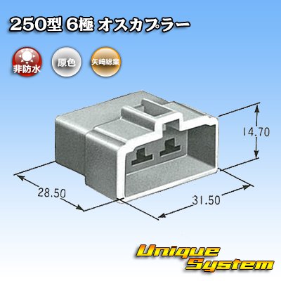 画像3: 矢崎総業 250型 CN(A) 非防水 6極 オスカプラー