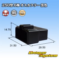 矢崎総業 250型 CN(A) 非防水 6極 オスカプラー 黒色