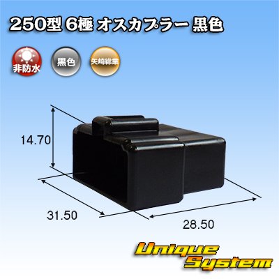 画像1: 矢崎総業 250型 CN(A) 非防水 6極 オスカプラー 黒色