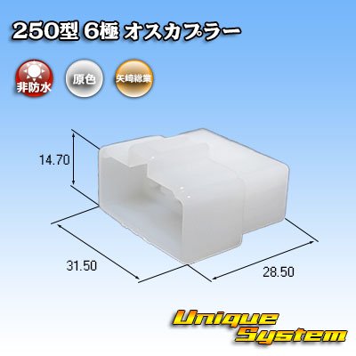 画像1: 矢崎総業 250型 CN(A) 非防水 6極 オスカプラー