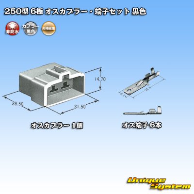 画像4: 矢崎総業 250型 CN(A) 非防水 6極 オスカプラー・端子セット 黒色