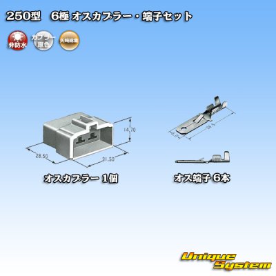 画像4: 矢崎総業 250型 CN(A) 非防水 6極 オスカプラー・端子セット