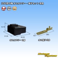 矢崎総業 250型 CN(A) 非防水 6極 オスカプラー・端子セット 黒色