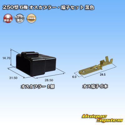 画像1: 矢崎総業 250型 CN(A) 非防水 6極 オスカプラー・端子セット 黒色
