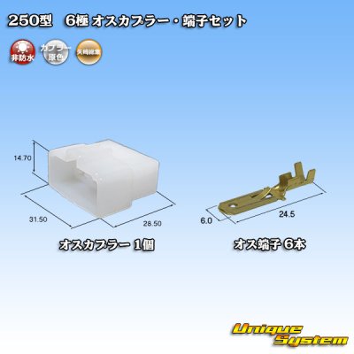 画像1: 矢崎総業 250型 CN(A) 非防水 6極 オスカプラー・端子セット