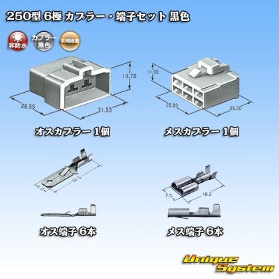 画像5: 矢崎総業 250型 CN(A) 非防水 6極 カプラー・端子セット 黒色