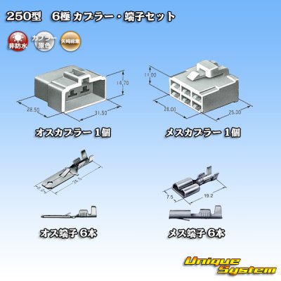 画像5: 矢崎総業 250型 CN(A) 非防水 6極 カプラー・端子セット