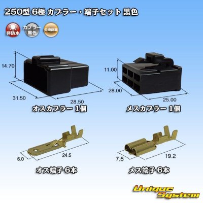画像1: 矢崎総業 250型 CN(A) 非防水 6極 カプラー・端子セット 黒色