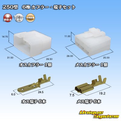 画像1: 矢崎総業 250型 CN(A) 非防水 6極 カプラー・端子セット