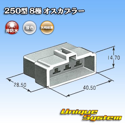 画像3: 矢崎総業 250型 CN(A) 非防水 8極 オスカプラー