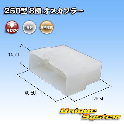 画像1: 矢崎総業 250型 CN(A) 非防水 8極 オスカプラー