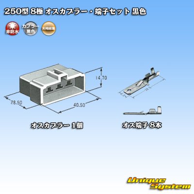 画像4: 矢崎総業 250型 CN(A) 非防水 8極 オスカプラー・端子セット 黒色