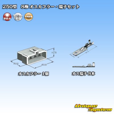 画像4: 矢崎総業 250型 CN(A) 非防水 8極 オスカプラー・端子セット