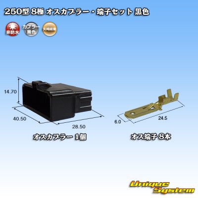 画像1: 矢崎総業 250型 CN(A) 非防水 8極 オスカプラー・端子セット 黒色
