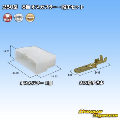 画像1: 矢崎総業 250型 CN(A) 非防水 8極 オスカプラー・端子セット