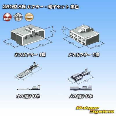 画像5: 矢崎総業 250型 CN(A) 非防水 8極 カプラー・端子セット 黒色