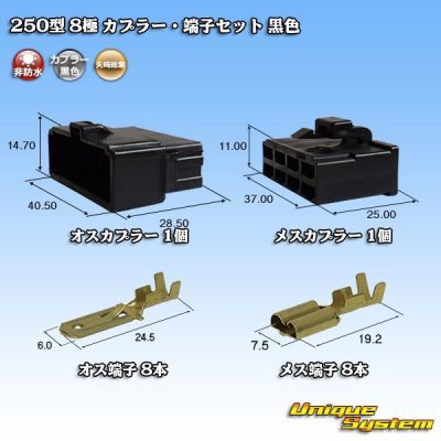 画像1: 矢崎総業 250型 CN(A) 非防水 8極 カプラー・端子セット 黒色