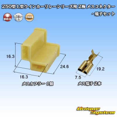 画像1: 矢崎総業 250型 L型ウインカーリレーシリーズ用 非防水 2極 メスコネクター・端子セット