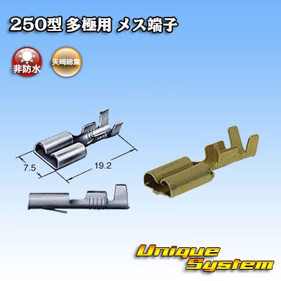 画像3: 矢崎総業 250型 ブスバー バスバー用 非防水 メス端子 サイズ：M(0.5-2.0mm2)