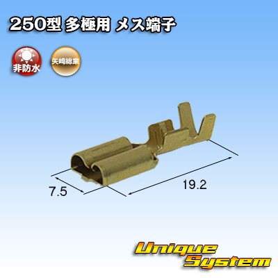 画像2: 矢崎総業 250型 非防水 多極用 非防水 メス端子