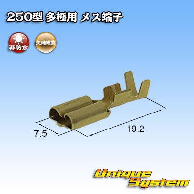 画像2: 古河電工 250型 非防水 ウインカーリレーカプラーシリーズ用 非防水 メス端子