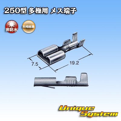 画像3: 古河電工 250型 非防水 ウインカーリレーカプラーシリーズ用 非防水 メス端子