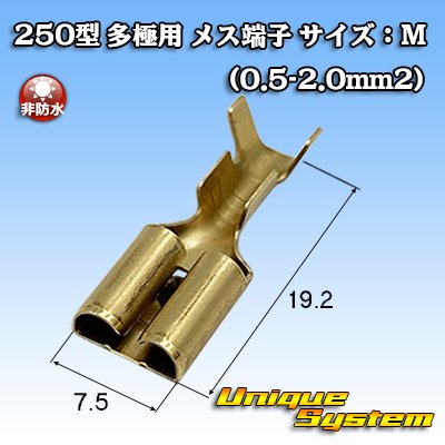 画像1: 矢崎総業 250型 ブスバー バスバー用 非防水 メス端子 サイズ：M(0.5-2.0mm2)