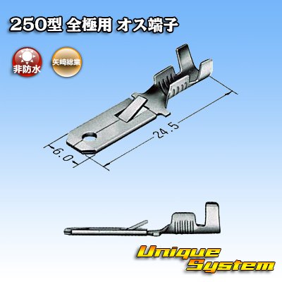 画像5: 矢崎総業 250型 全極シリーズ用 非防水 オス端子 サイズ：M(0.5-2.0mm2)