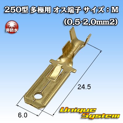 画像1: 矢崎総業 250型 全極シリーズ用 非防水 オス端子 サイズ：M(0.5-2.0mm2)