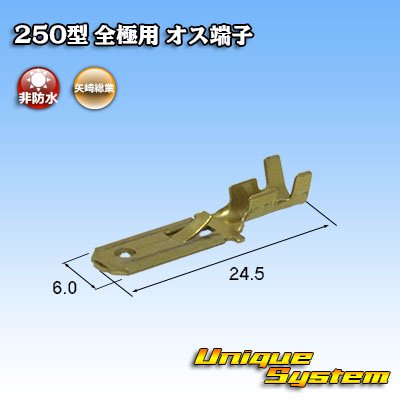 画像2: 矢崎総業 250型 非防水 全極用 非防水 オス端子