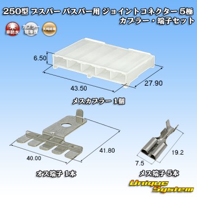 画像1: 矢崎総業 250型 ブスバー バスバー用 ジョイントコネクター 非防水 5極 カプラー・端子セット