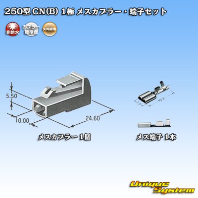 画像5: 矢崎総業 250型 CN(B) 非防水 1極 メスカプラー・端子セット