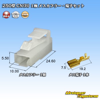 画像1: 矢崎総業 250型 CN(B) 非防水 1極 メスカプラー・端子セット