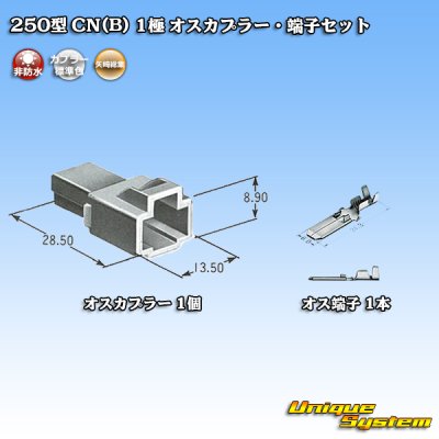 画像5: 矢崎総業 250型 CN(B) 非防水 1極 オスカプラー・端子セット