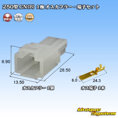 画像1: 矢崎総業 250型 CN(B) 非防水 1極 オスカプラー・端子セット