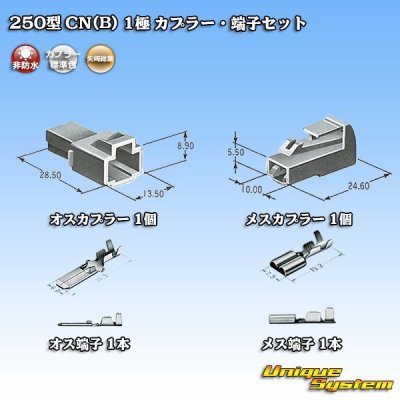 画像7: 矢崎総業 250型 CN(B) 非防水 1極 カプラー・端子セット