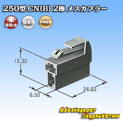 画像4: 矢崎総業 250型 CN(B) 非防水 2極 メスカプラー