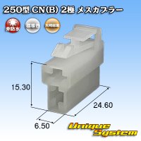矢崎総業 250型 CN(B) 非防水 2極 メスカプラー