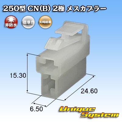 画像1: 矢崎総業 250型 CN(B) 非防水 2極 メスカプラー