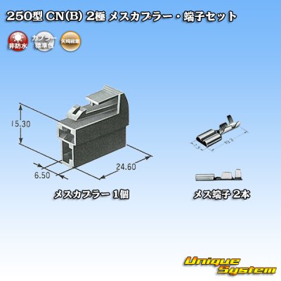 画像5: 矢崎総業 250型 CN(B) 非防水 2極 メスカプラー・端子セット