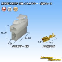 矢崎総業 250型 CN(B) 非防水 2極 メスカプラー・端子セット