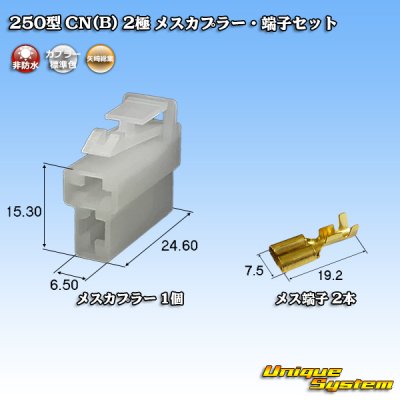 画像1: 矢崎総業 250型 CN(B) 非防水 2極 メスカプラー・端子セット