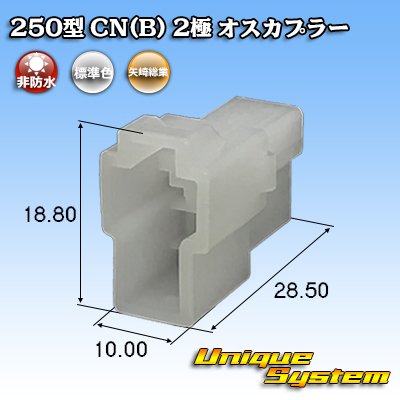 画像1: 矢崎総業 250型 CN(B) 非防水 2極 オスカプラー