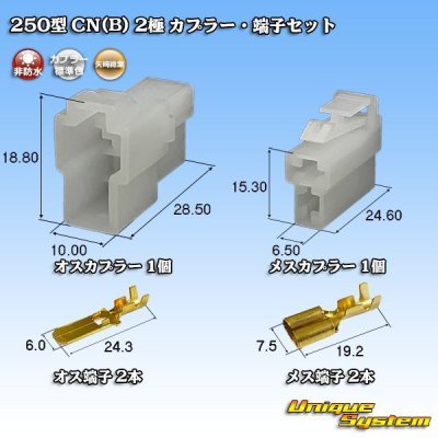 画像1: 矢崎総業 250型 CN(B) 非防水 2極 カプラー・端子セット