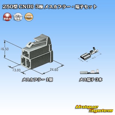 画像5: 矢崎総業 250型 CN(B) 非防水 3極 メスカプラー・端子セット