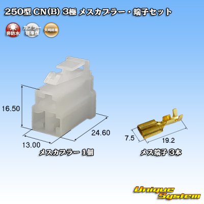 画像1: 矢崎総業 250型 CN(B) 非防水 3極 メスカプラー・端子セット