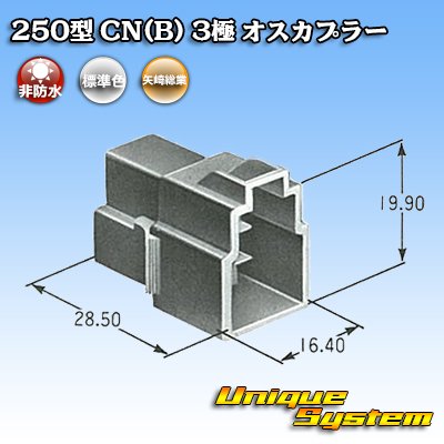 画像4: 矢崎総業 250型 CN(B) 非防水 3極 オスカプラー