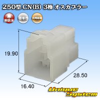 矢崎総業 250型 CN(B) 非防水 3極 オスカプラー