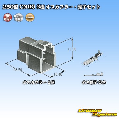 画像5: 矢崎総業 250型 CN(B) 非防水 3極 オスカプラー・端子セット